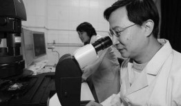 中国科学家最新爆料,中国科学家最新突破性研究成果揭晓